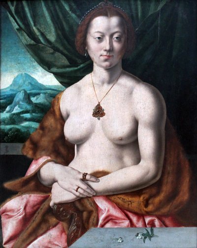 Desnudo femenino de Barthel Bruyn the Elder